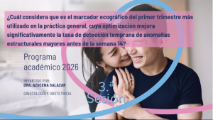 Ajuste técnico o ventana ecográfica en el ultrasonido estructural para la detección de anomalías menores en el 1er trimestre